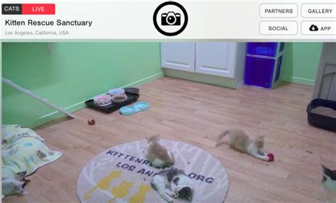weird websites to visit|75 Fun Websites To Waste Time on When You’re .